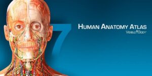 Human Anatomy Atlas 2024